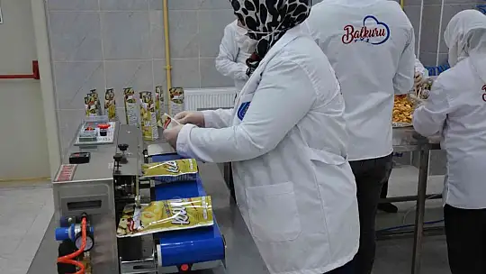 Sındırgı'nın adı jeotermalle üretilen sağlıklı gıda ile duyulacak