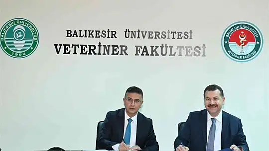 Sokak hayvanları için güç birliği