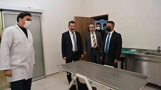 Sokak hayvanları için güç birliği