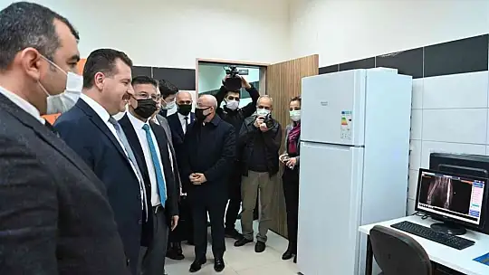 Sokak hayvanları için güç birliği