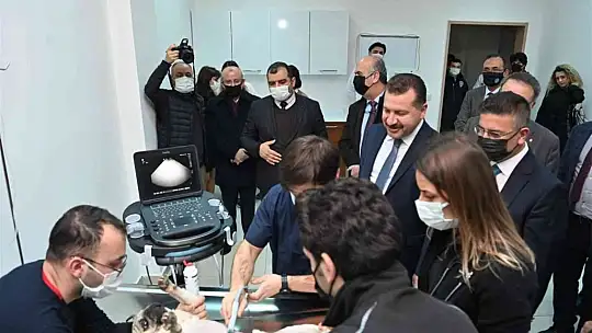 Sokak hayvanları için güç birliği