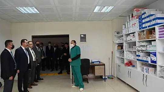 Sokak hayvanları için güç birliği