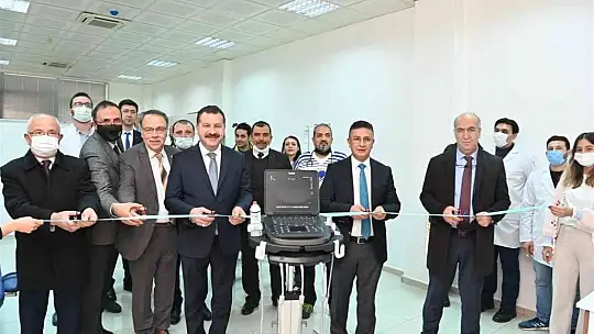 Sokak hayvanları için güç birliği