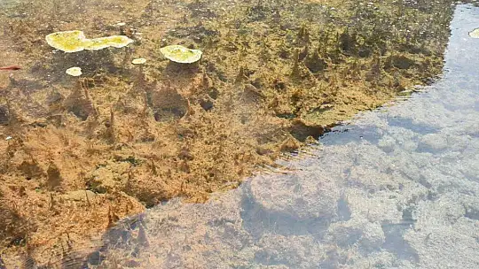 Susurluk çamur kaplıcaları doğal şifa kaynağı