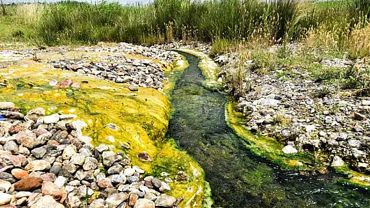 Susurluk çamur kaplıcaları doğal şifa kaynağı