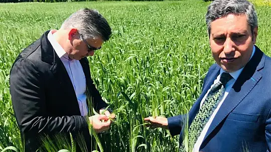 Tarım Meslek Lisesi Savaştepe'ye değer katıyor