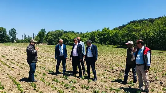 Tarım Meslek Lisesi Savaştepe'ye değer katıyor