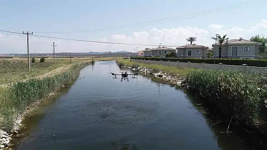 ZİHA'ların hedefinde sivrisinekler var