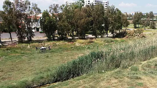 ZİHA'ların hedefinde sivrisinekler var