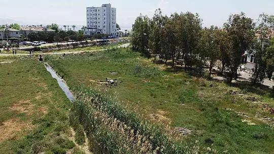 ZİHA'ların hedefinde sivrisinekler var