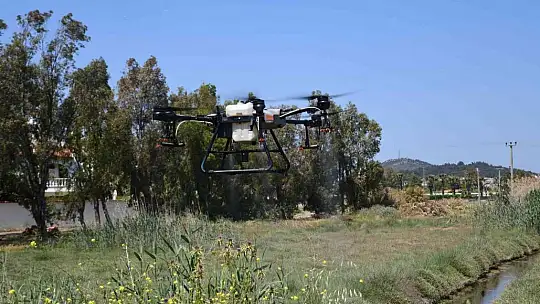 ZİHA'ların hedefinde sivrisinekler var