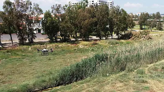 ZİHA'ların hedefinde sivrisinekler var