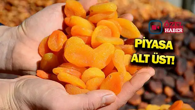 Zirai don hadisesi sonrası kayısı fiyatları tavan yaptı!