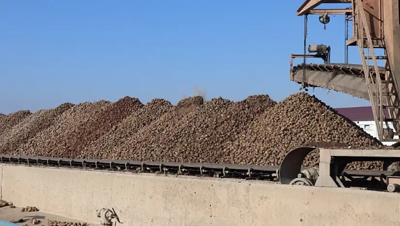 Malatya Şeker Fabrikası'nda hedef 55 bin ton şeker üretimi