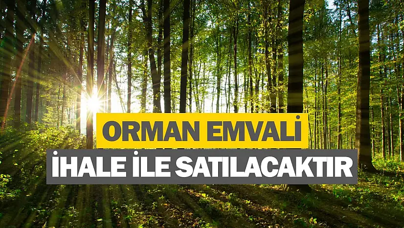 Orman emvali ihale ile satılacaktır