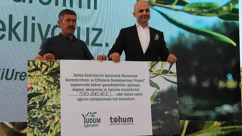 Yudum Egemden ve Tohum Derneği, yabani zeytin ağaçlarını ekonomiye kazandırıyor