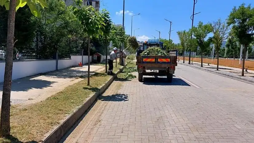 Yunusemre'de ot biçme çalışmaları devam ediyor