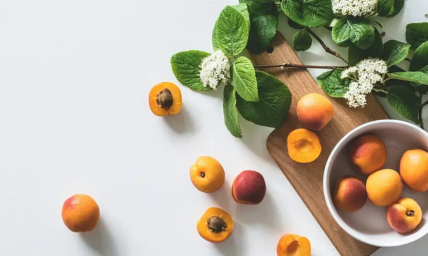 Kayısının eşsiz faydaları ve Malatya kayısı cenneti